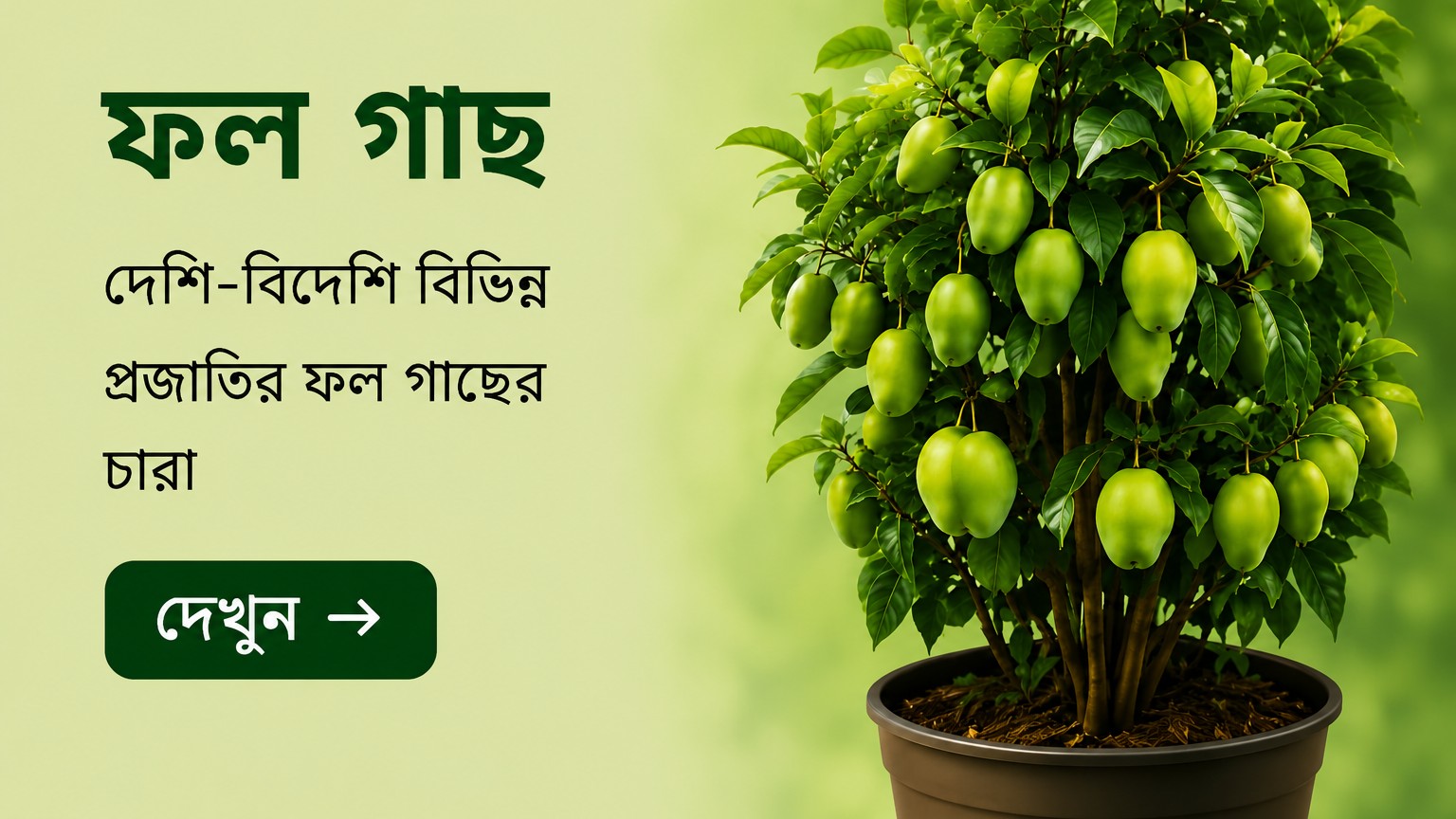 ফল গাছ