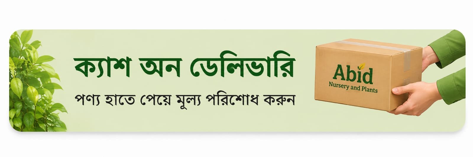 ক্যাশ অন ডেলিভারি